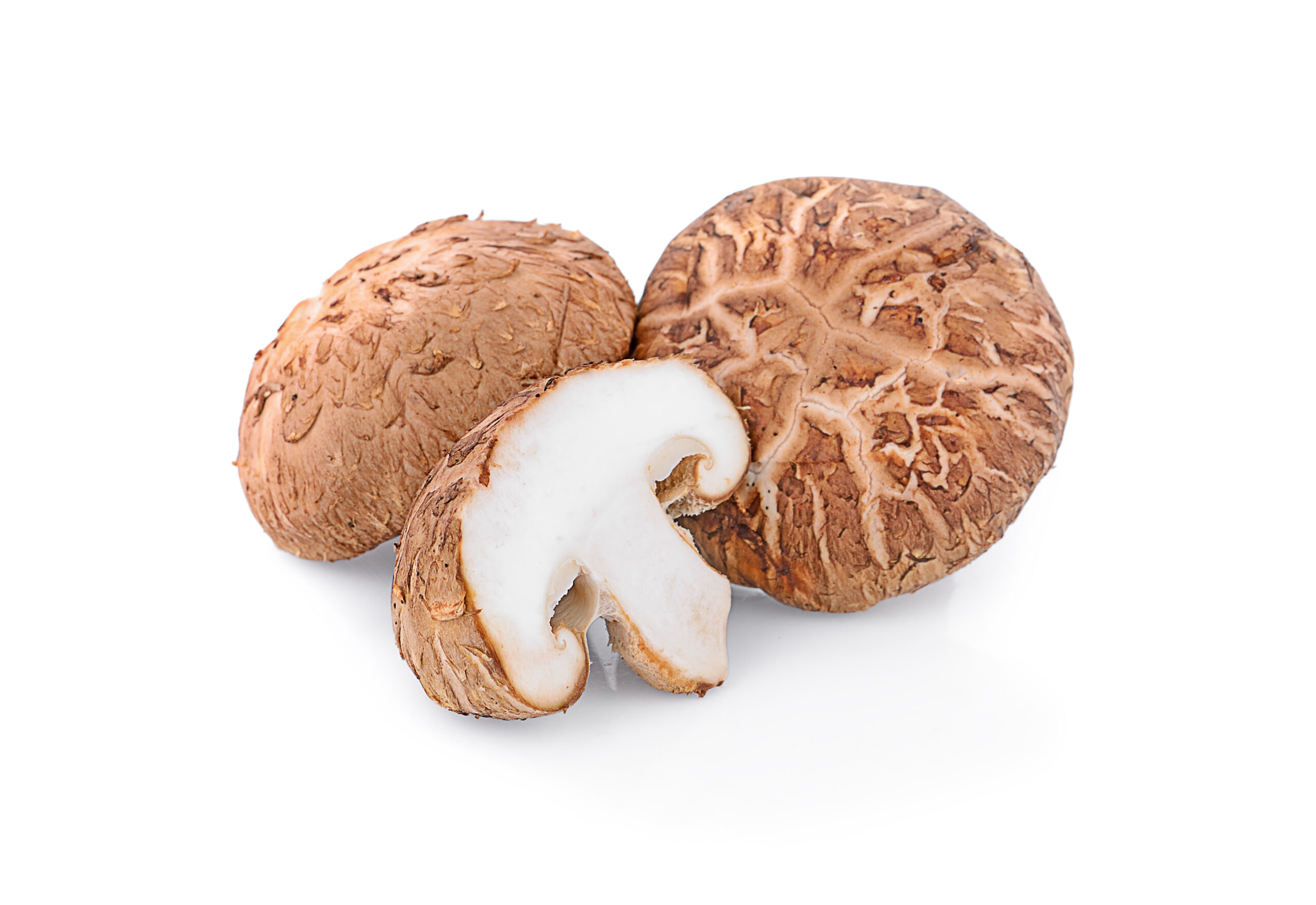 Champignons shiitaké, utilisés pour soutenir les défenses naturelles