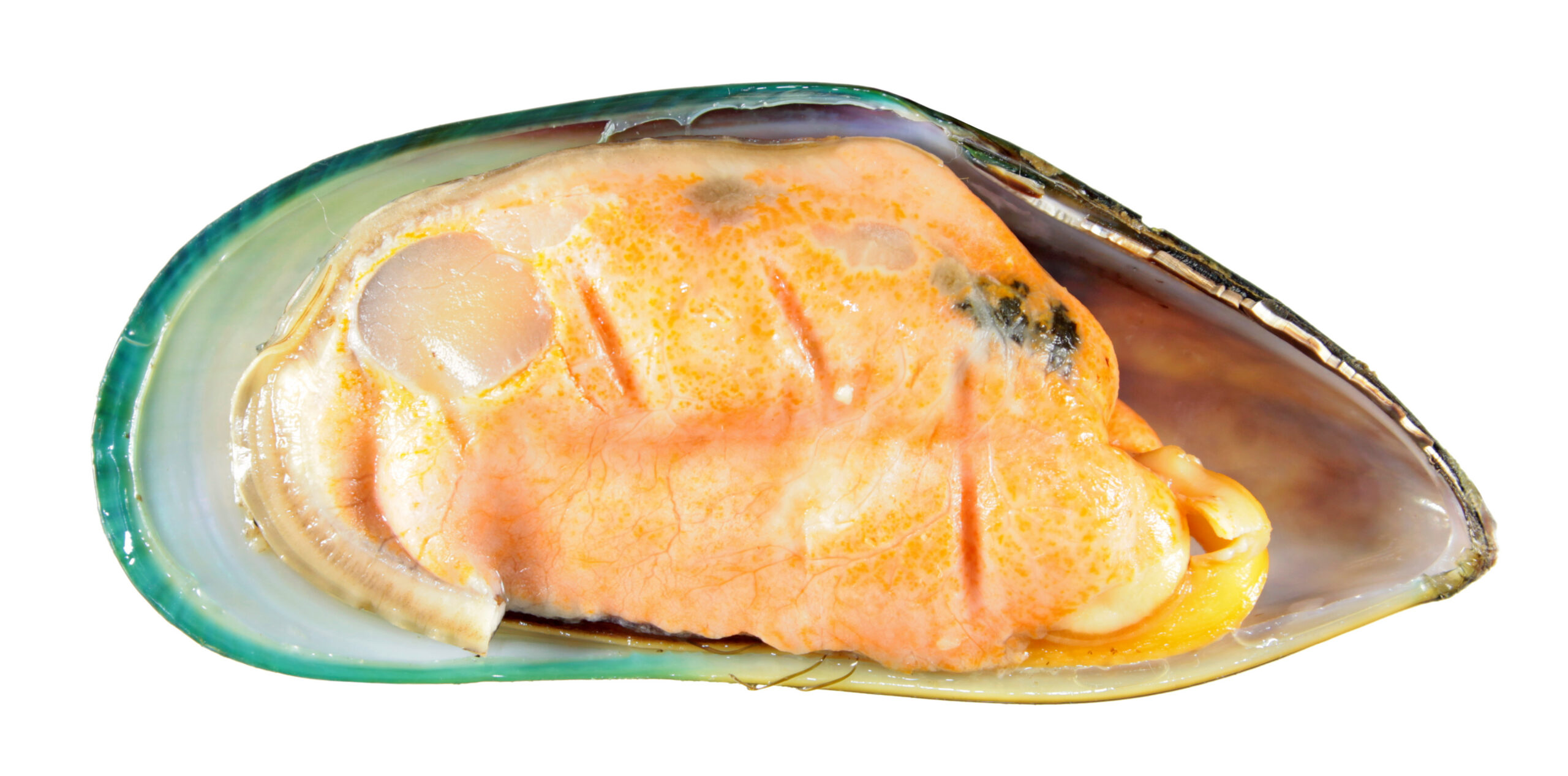 Moule aux orles verts, actif marin traditionnel